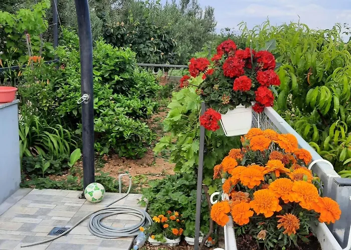 With Parking Space Seget Donji, - 23533 Apartman *